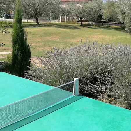 Moratto's Umag