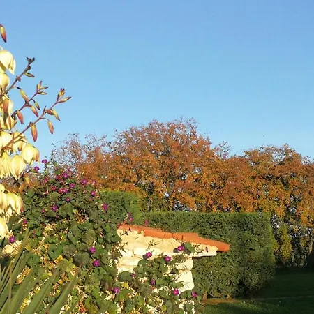 Moratto's Apartment Umag