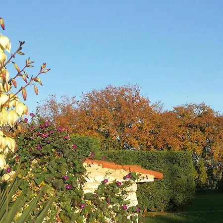 Moratto's شقة أوماغ