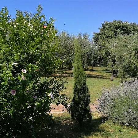 Apartment Moratto's *