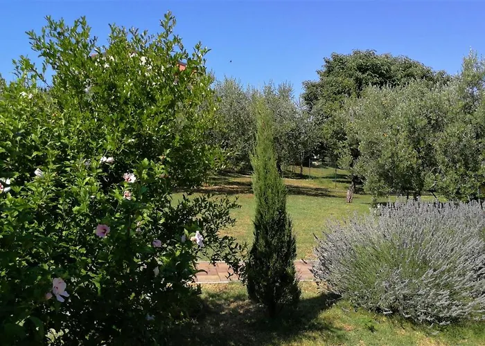 Apartman Moratto's *