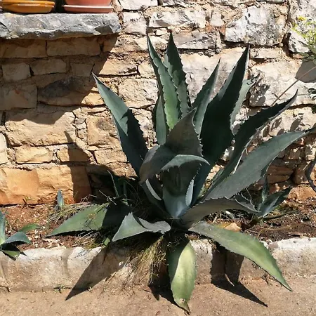 Appartamento Moratto's