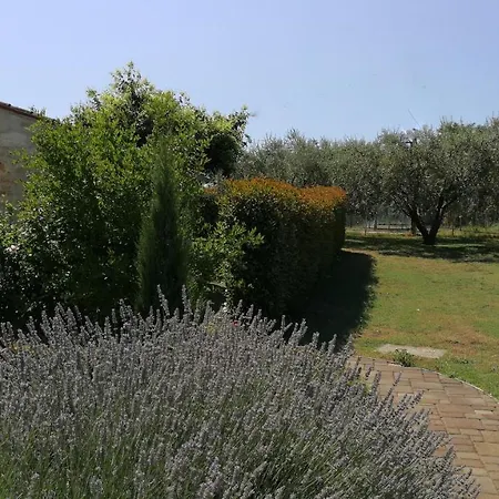 Moratto's Appartement *